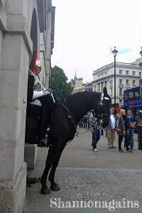 Household Cavalry Museum