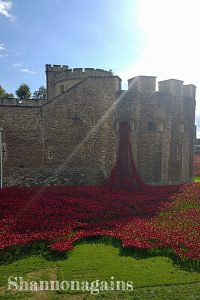 poppies at the tower of london