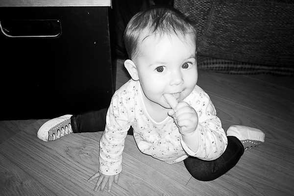 BW project top-13