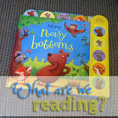 What are we reading? Noisy Bottoms
