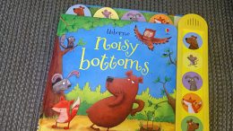 What are we reading? Noisy Bottoms