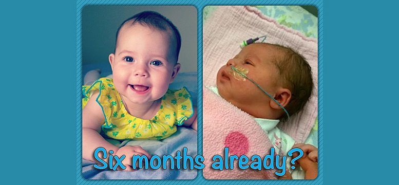 six months already?